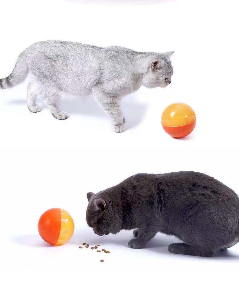 Dog Toy & Treat Dispenser - Image 3